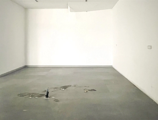 retail to rent - haus & haus